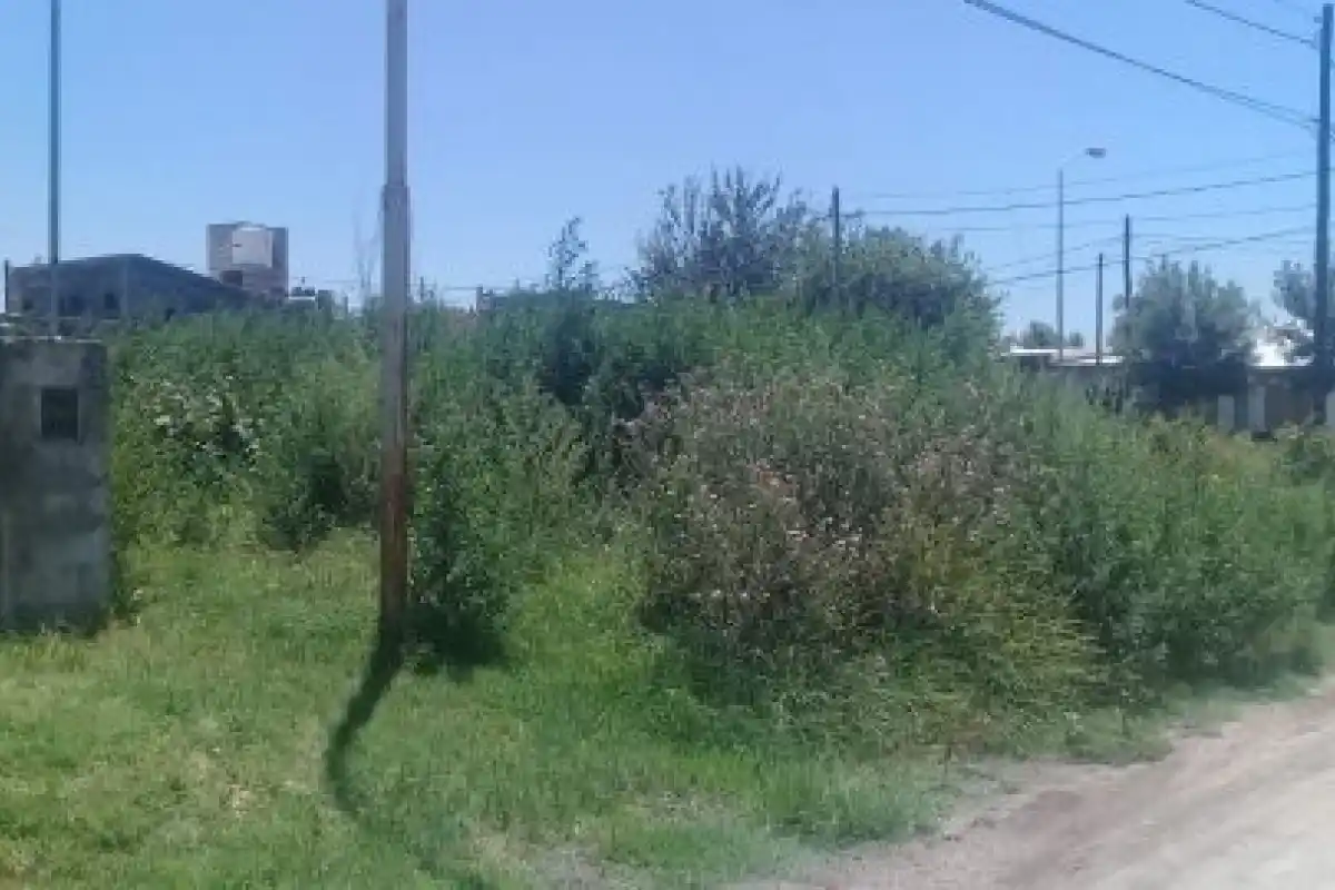 El Municipio reforzó los controles en terrenos baldíos para prevenir un brote de dengue