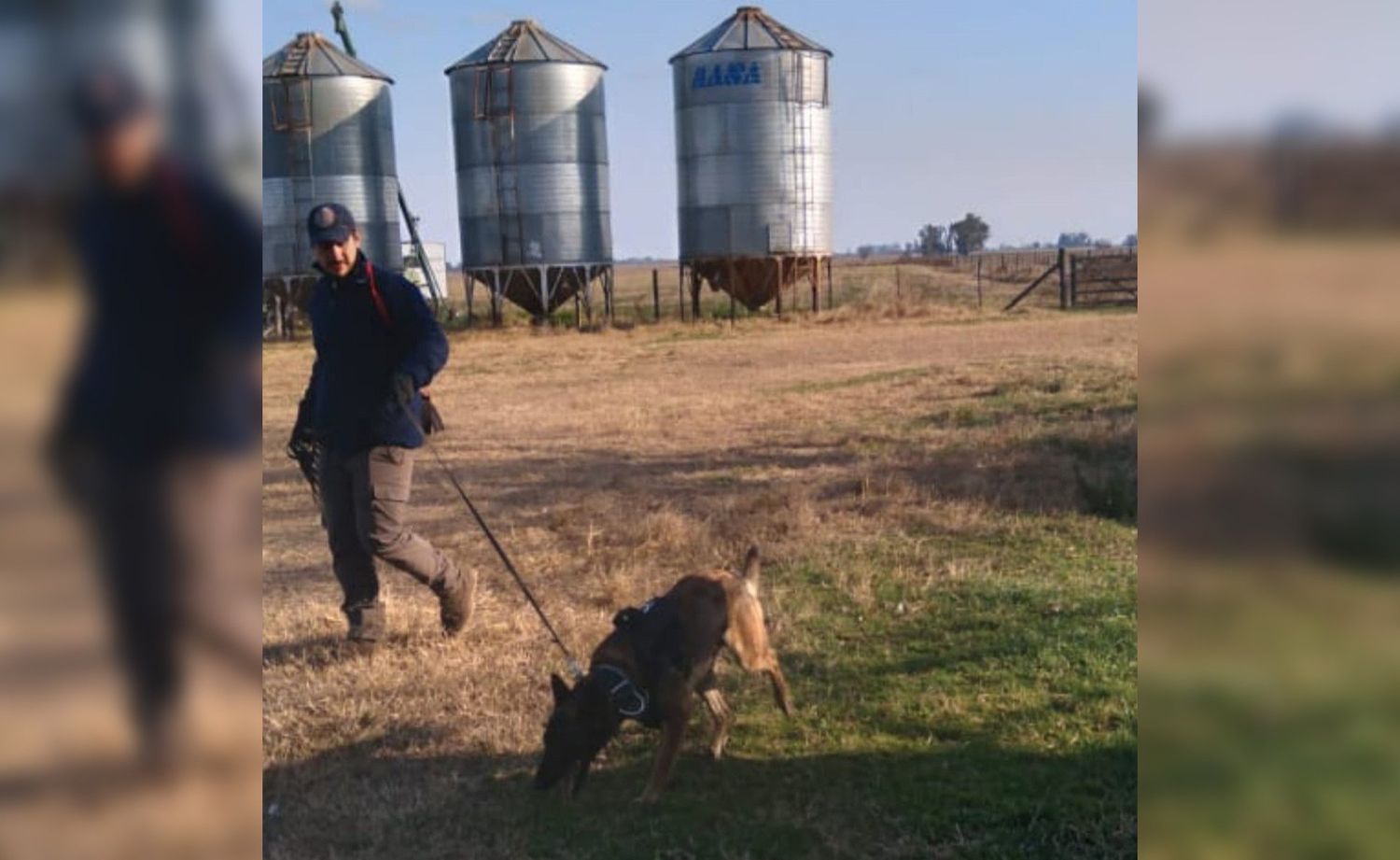 Los perros de Chivilcoy se sumaban a la búsqueda.