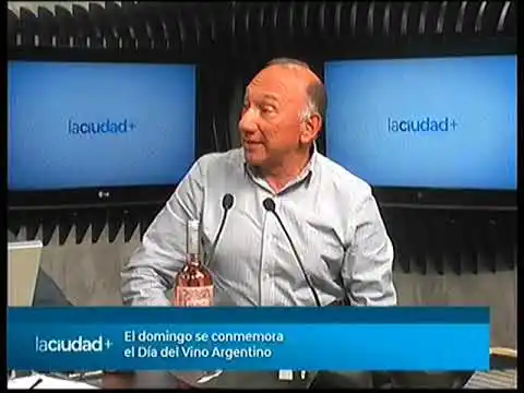 El domingo se conmemora el Día del Vino Argentino | La Ciudad