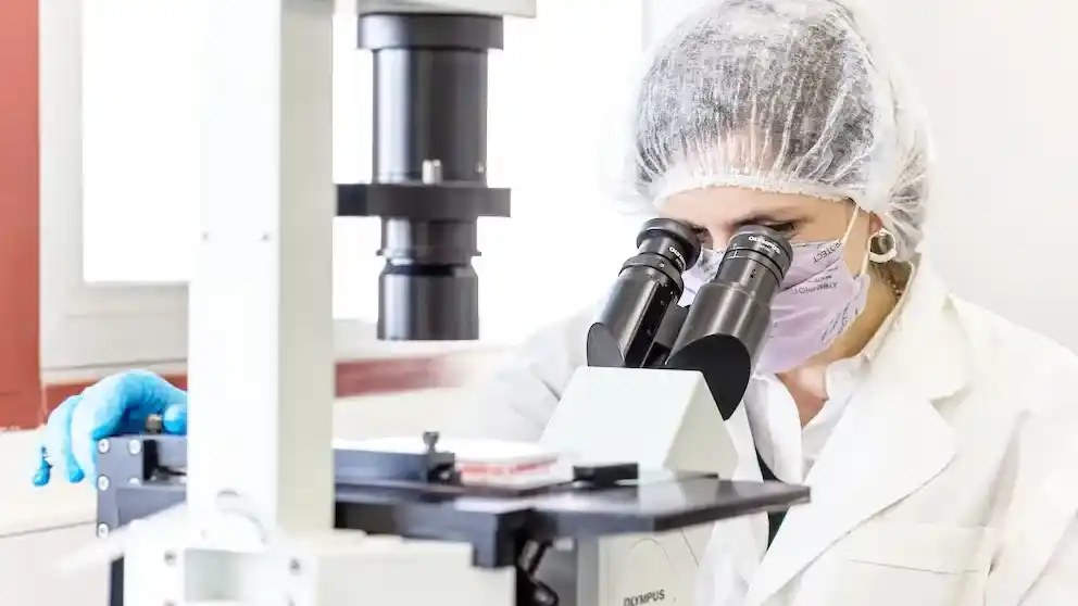 La Academia Nacional de Ciencias alertó por la “fuga de cerebros” y cuestionó las políticas del Gobierno para el sector