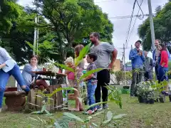 Dispersión de árboles: el arte silencioso que crece desde Tandil