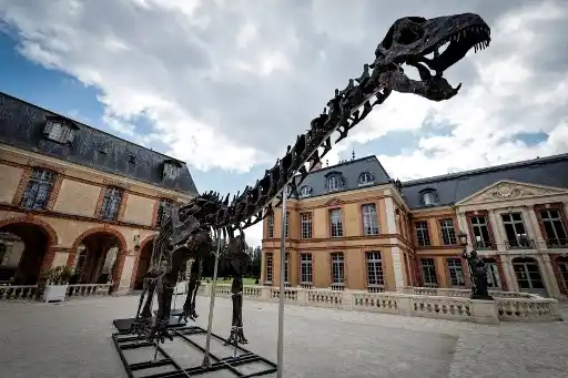 VULCAIN: el fósil de dinosaurio más grande jamás puesto a la venta será subastado en Francia (+Fotos)