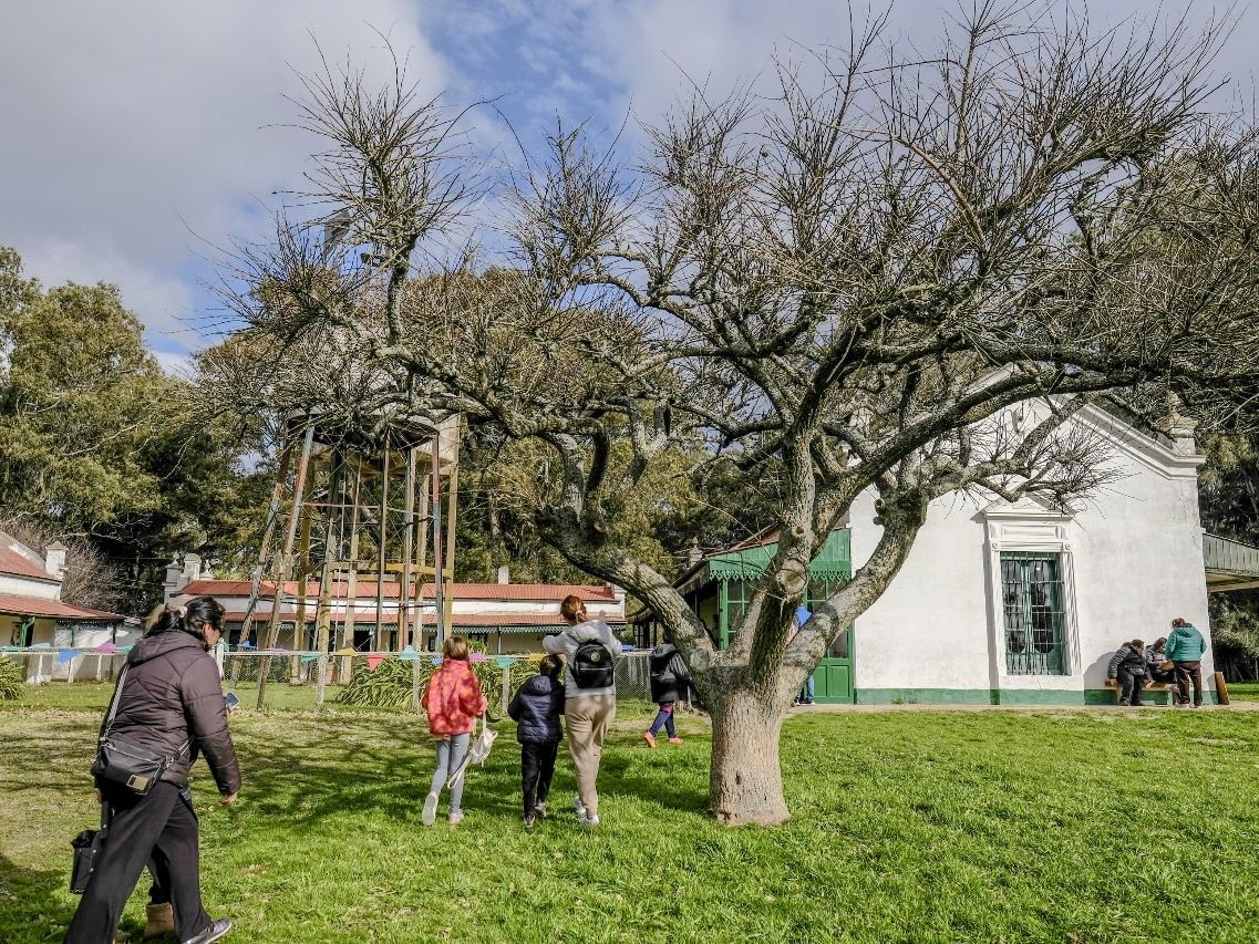 Las visitas guiadas para escuelas se realizan de lunes a viernes -excepto los miércoles- a las 10 y a las 14.