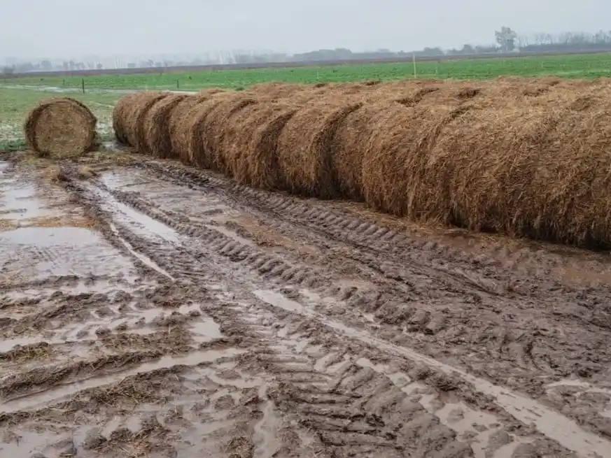 La evolución mensual de la anomalía de la temperatura superficial en el Pacífico (SST) muestra que “La Niña” ya tocó su valor mínimo de -0,68 hace un mes atrás.