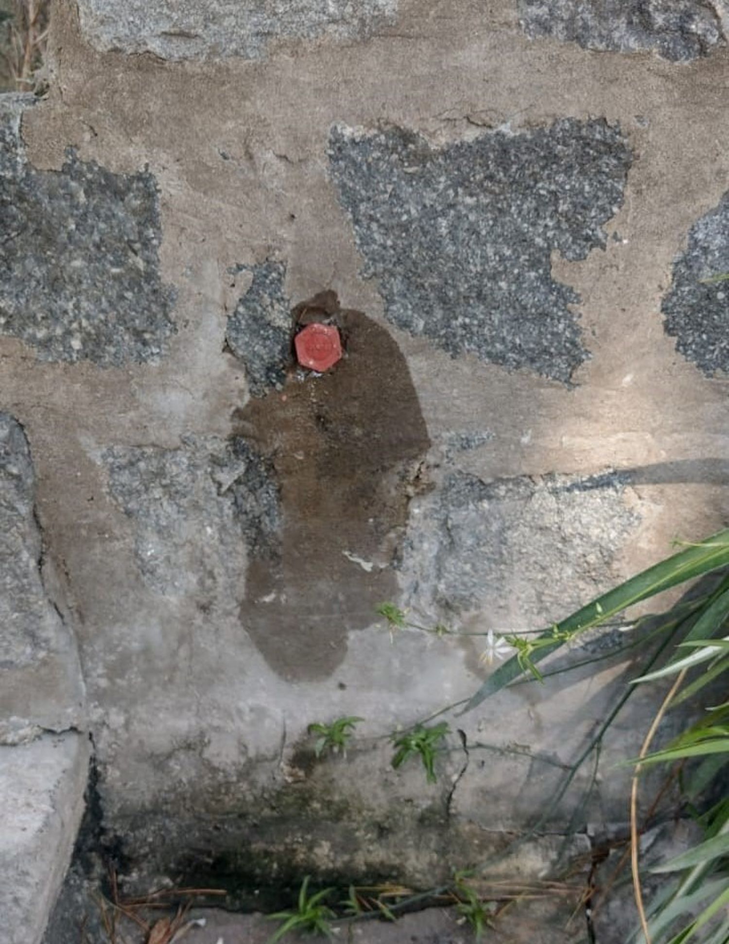 Ahora, rompieron y quitaron canillas, dejando perdidas de agua en el predio.