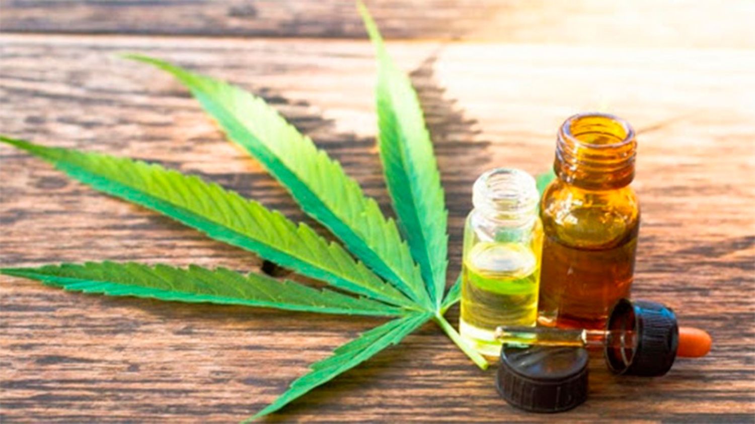 Cannabis medicinal: El Gobierno permitirá el cultivo personal