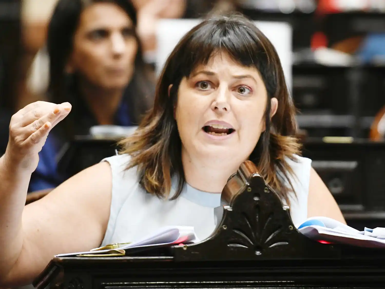 Gaillard denunció el caos en el Congreso y rechazó el acuerdo con el FMI