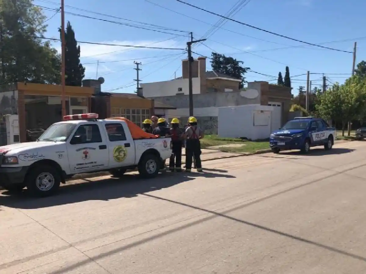 Brinkmann: allanamiento y secuestro de un perro que atacó y mató a otro