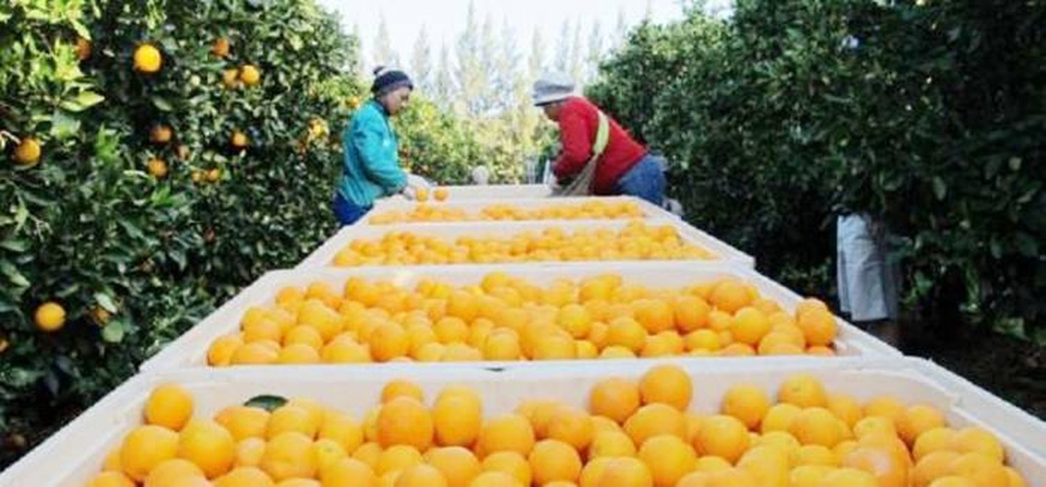 Empezaron las paritarias para los trabajadores de la cosecha