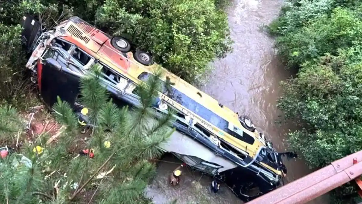 Un colectivo cayó a un arroyo tras chocar en Misiones: 8 muertos y 29 heridos
