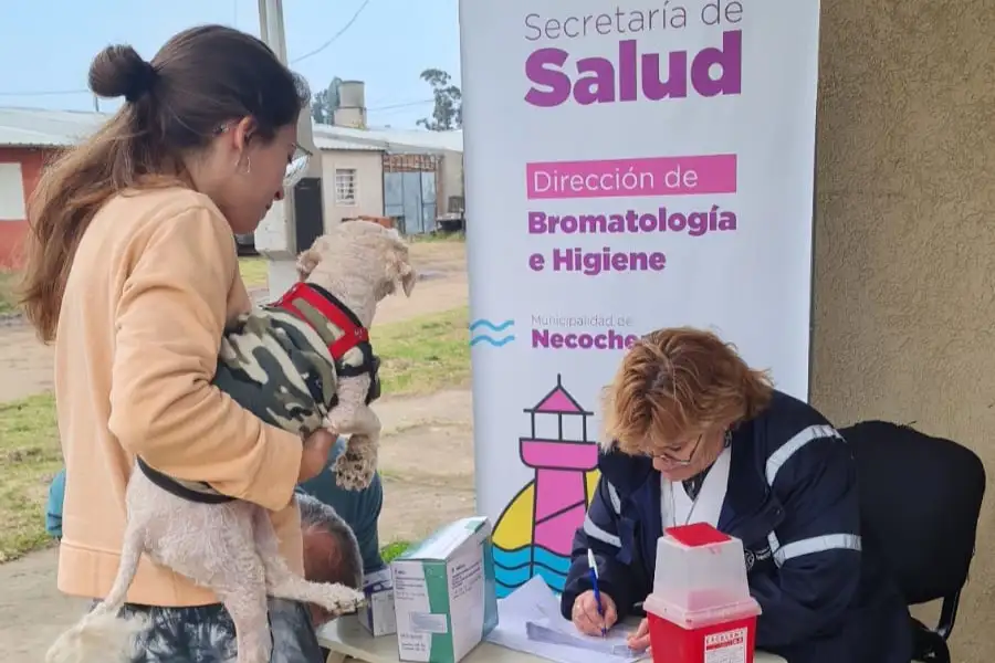 El accionar se desarrolló en el CIC del Barrio Norte