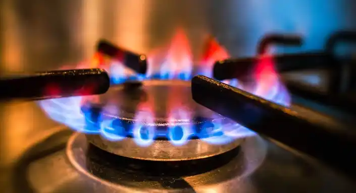 El Gobierno busca recortar gastos pagando menos subsidios