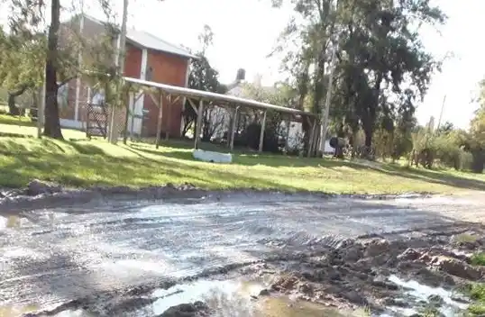 Davico sobre las calles: “les pido disculpas y paciencia”