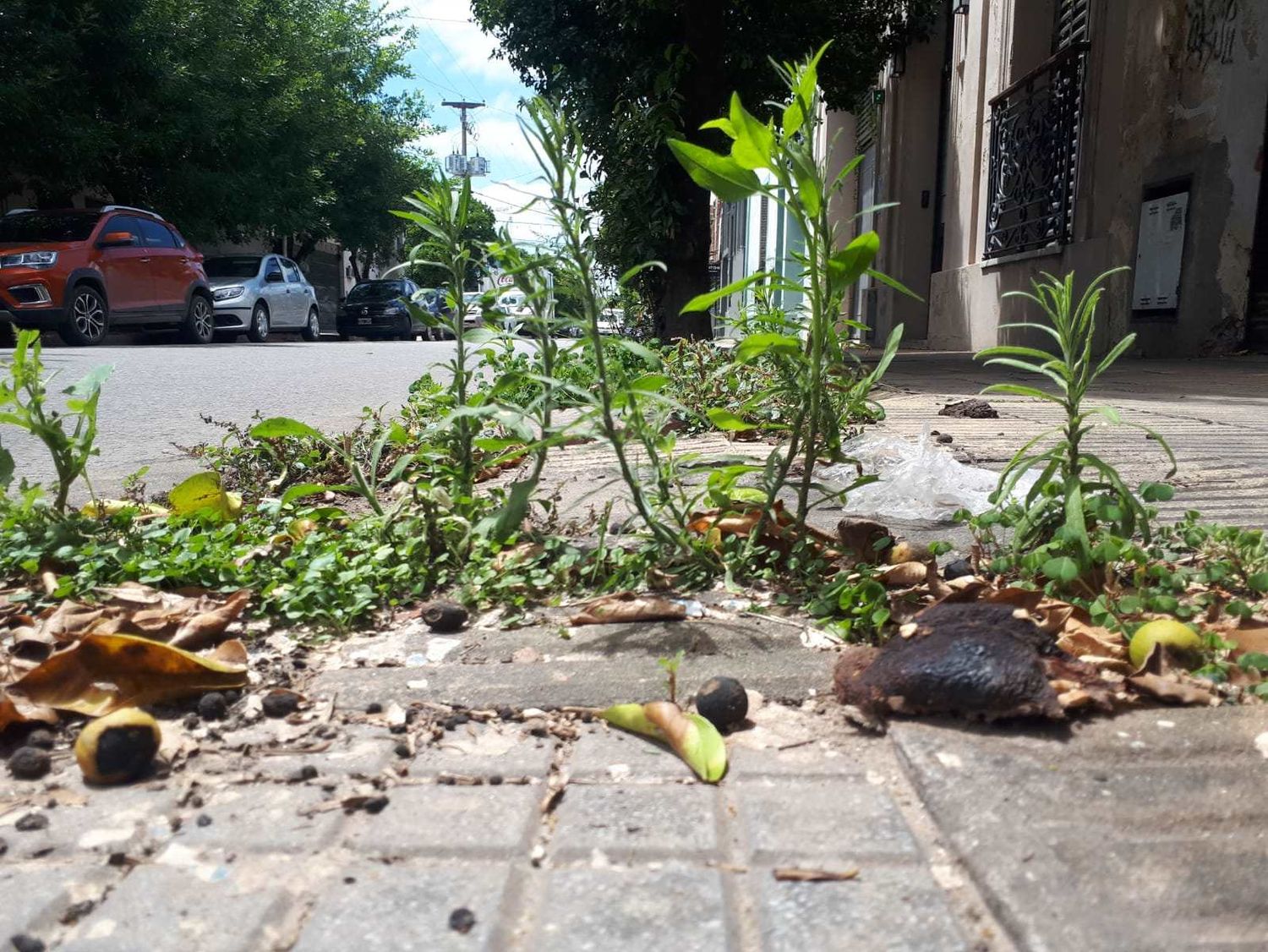 La queja de Susana apunta al estado en que se encuentra la ciudad.