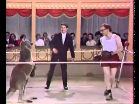 A 51 años del día que Woody Allen boxeó contra un canguro