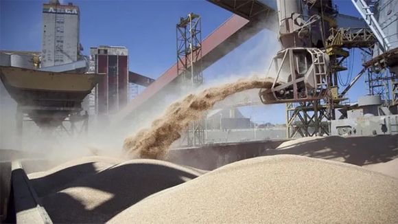 La Argentina abrió un mercado clave para su trigo y para todo el sector cerealero