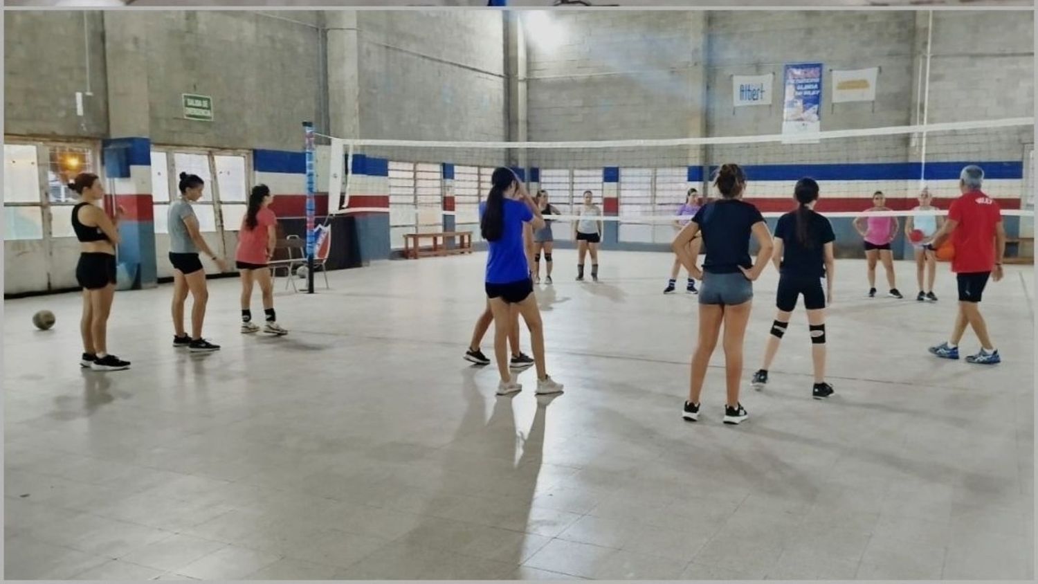 voley newbery
