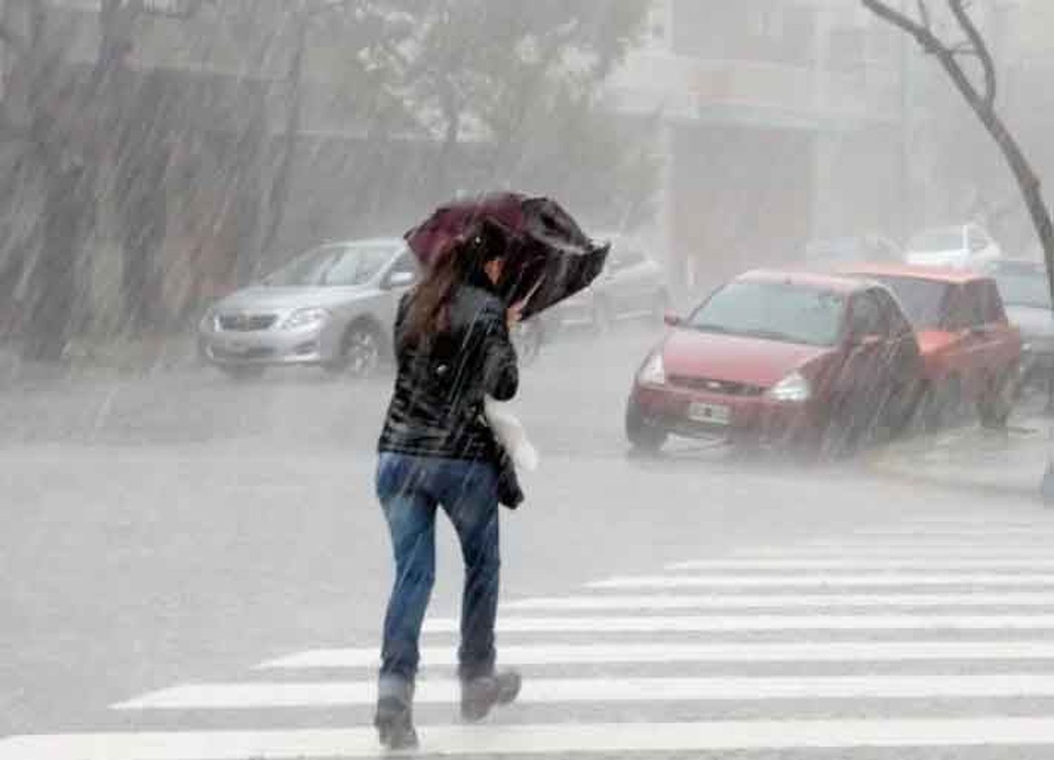 Emitieron alertas naranja y amarilla para Entre Ríos por intensas tormentas