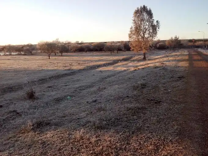 ¡Qué helada! 5.7º bajo cero de térmica en Gualeguaychú