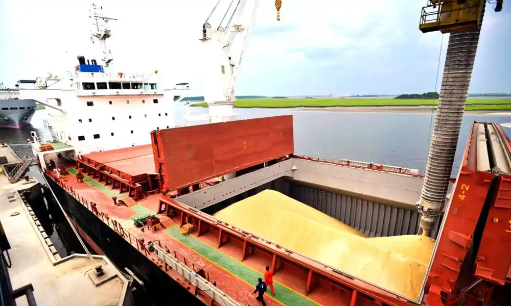 La Federación Agraria propone bajar el IVA a los alimentos y exportar más