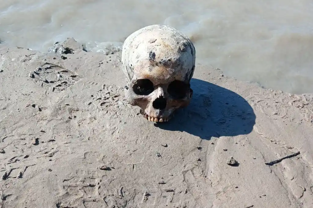 El cráneo encontrado a la orilla del río Salado