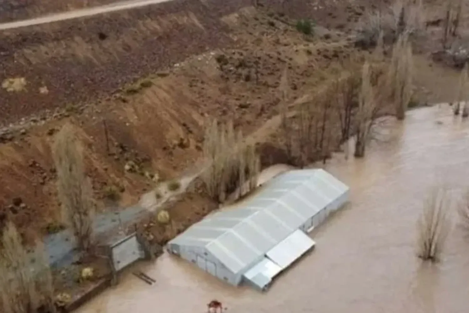 Neuquén bajo agua: hay más de 60 familias evacuadas