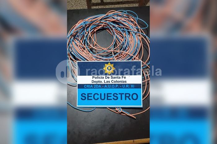 Buscaban objetos robados, pero se encontraron con una gran plantación de cannabis  san carlos - 1