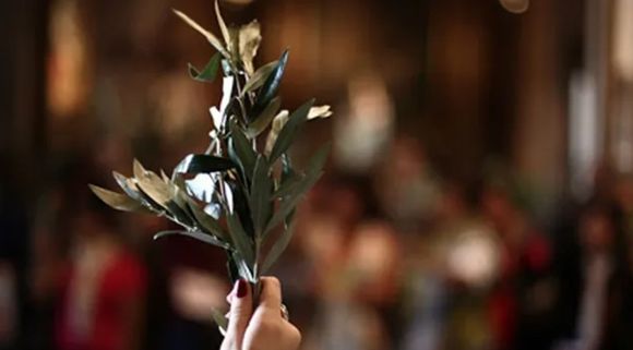 Semana Santa: este domingo, bendición de ramos en plaza Belgrano