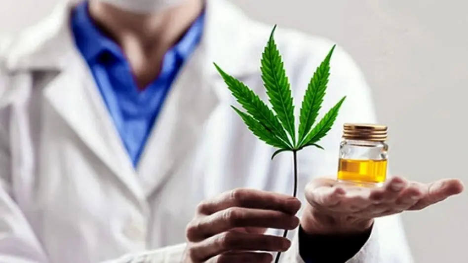 Conciencia Cannabis: "Nuestro objetivo es acompañar a los usuarios terapéuticos"