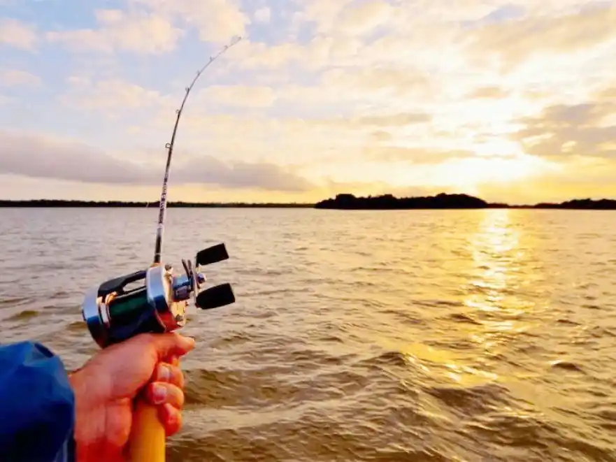 Entre Ríos aumentó a 650 toneladas el cupo de extracción de pescado para el primer trimestre de 2026