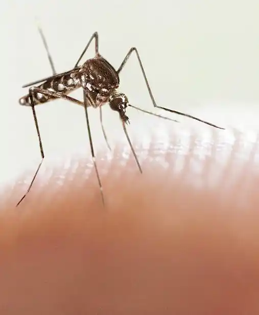 Informaron 8 nuevos casos en Villa del Rosario y uno en la zona rural de Santa Ana