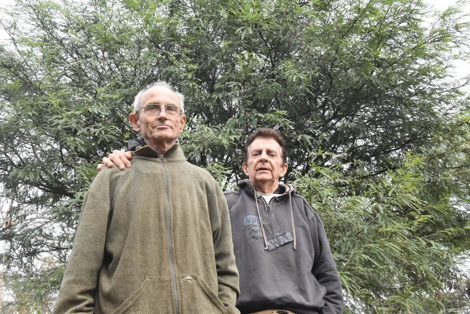 hermanos botta