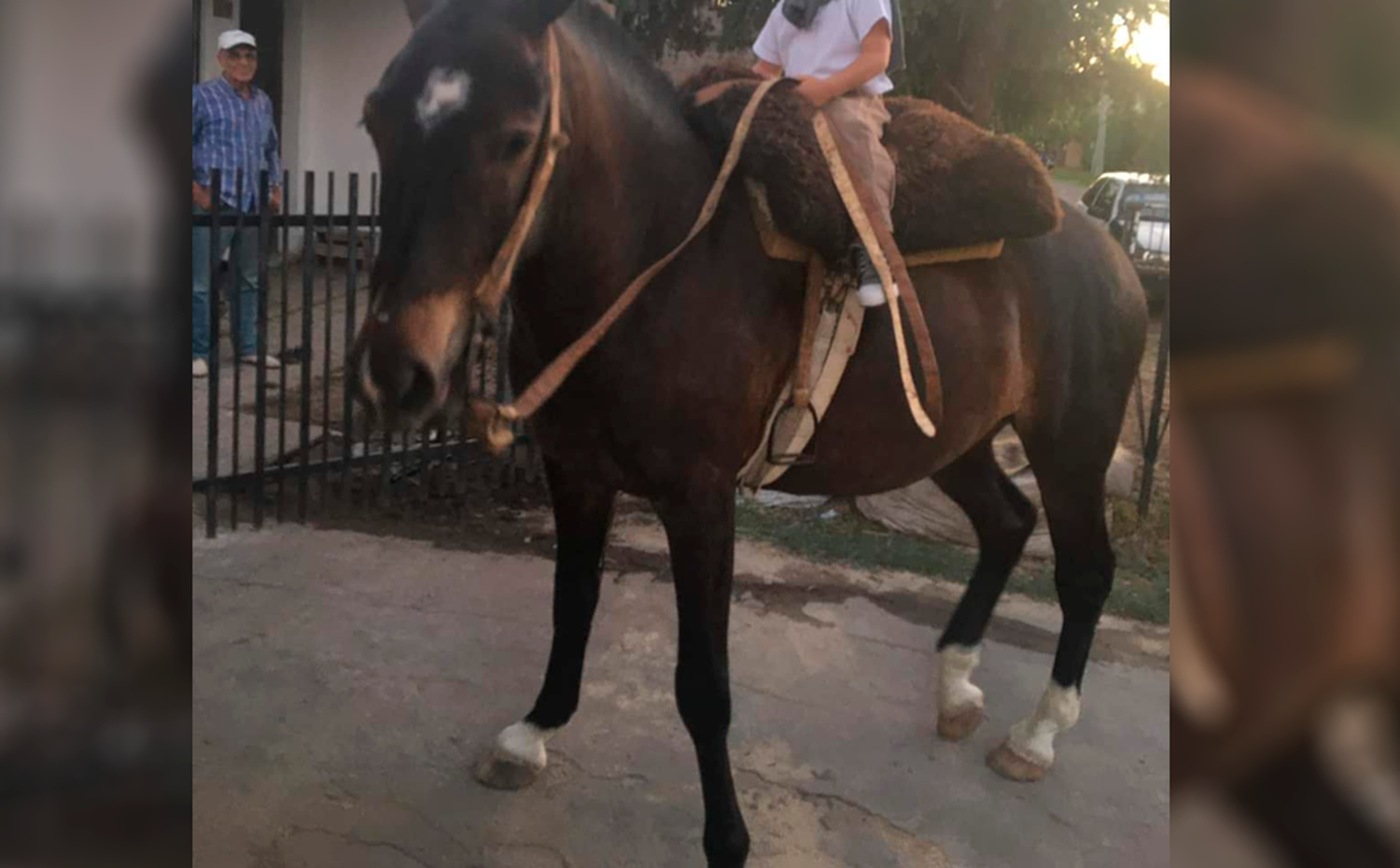 Buscan este caballo