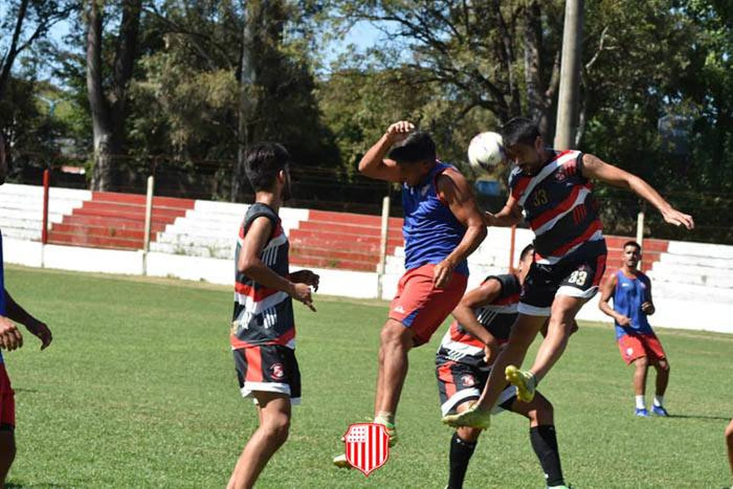 Amistoso: triunfo de Libertad ante Colegiales