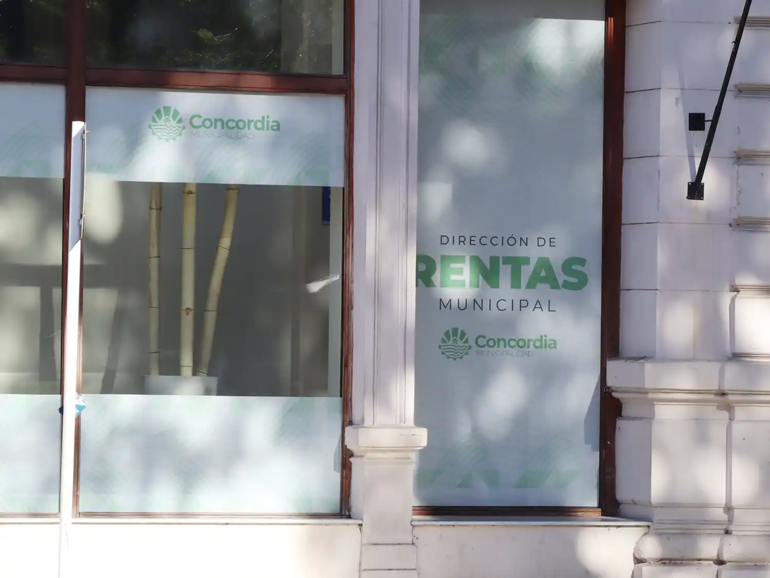 Actualizaciones, nuevas exenciones y nuevo régimen para pequeños contribuyentes de tasa comercial