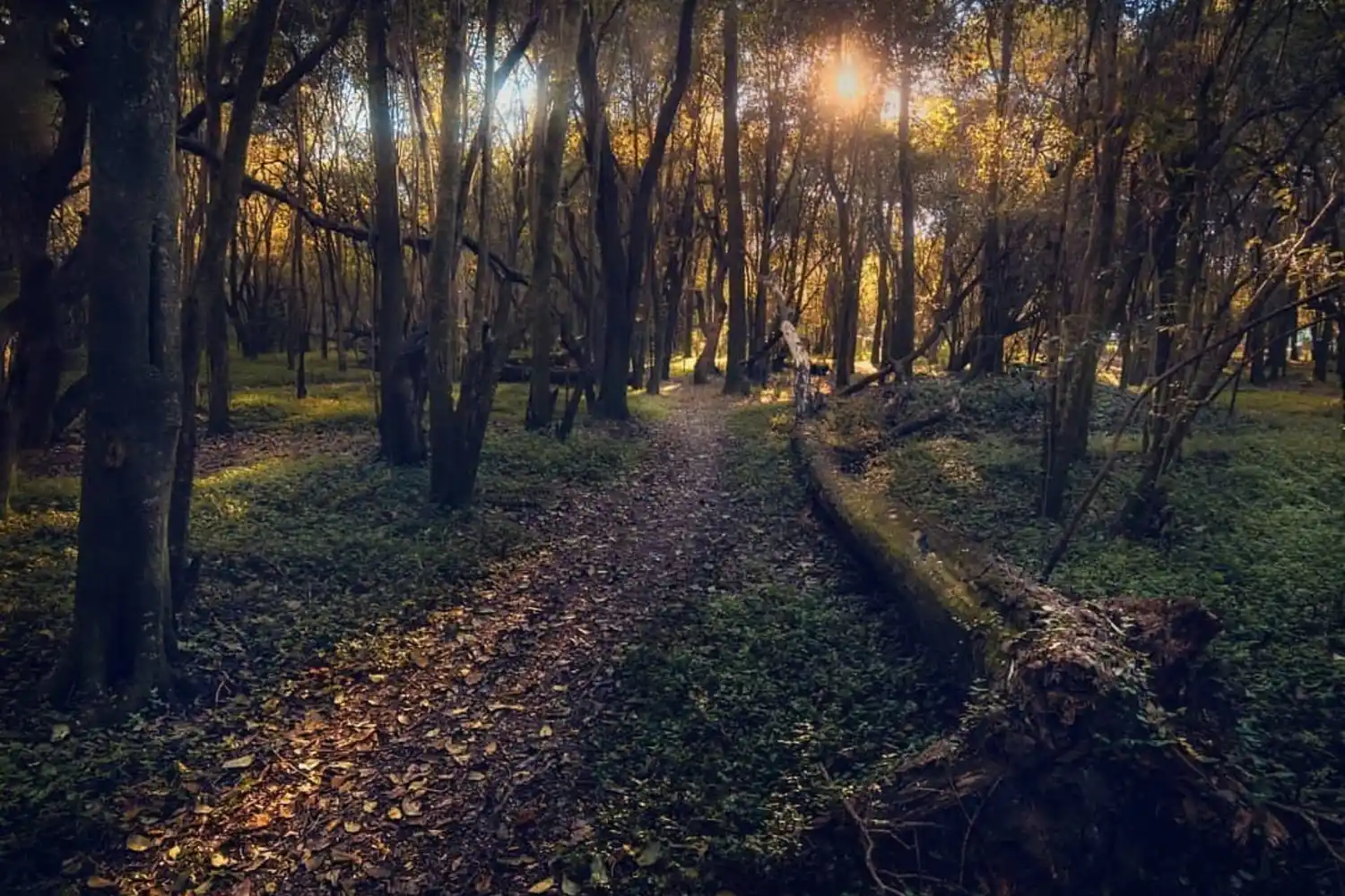 Reabren las visitas educativas al Parque Escolar Rural Enrique Berduc con propuestas renovadas
