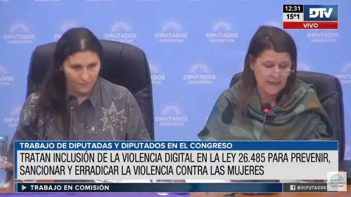 Diputados analizan el proyecto para tipificar la figura de violencia digital
