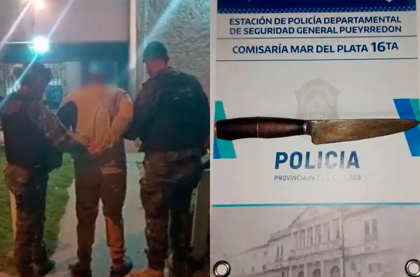 La violencia que no para: atacó a su hermana que debió ser atendida en el HIGA