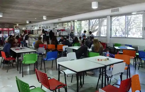 "Chau, mierdas": la carta de la estudiante que intentó suicidarse 
