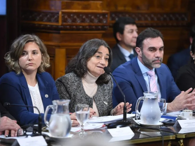 Con dos dictámenes en la Cámara alta avanzó la emergencia sanitaria en el Garrahan