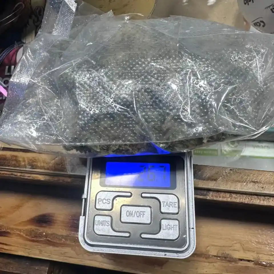 Grow shop 2