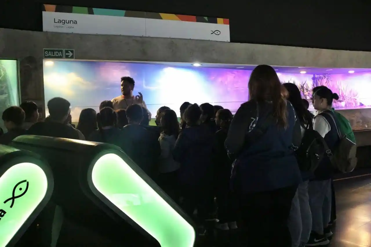 El Acuario del Río Paraná, uno de los imperdibles de Rosario, tuvo un 2025 con crecimiento de visitantes - 1