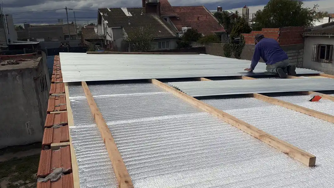 Preciosa Semilla retoma la construcción