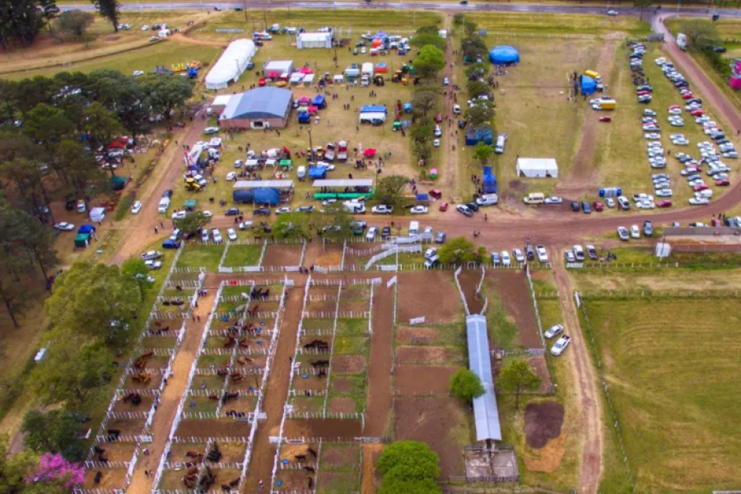 La provincia está presente en la 35º Expo Rural de San Javier