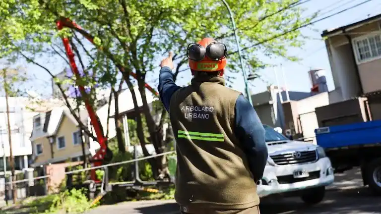 Plan de Poda en Vicente López