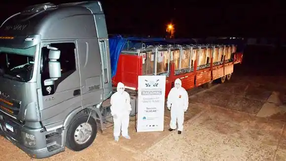 Incautan nueve toneladas de precursores químicos valuados en más de $28 millones