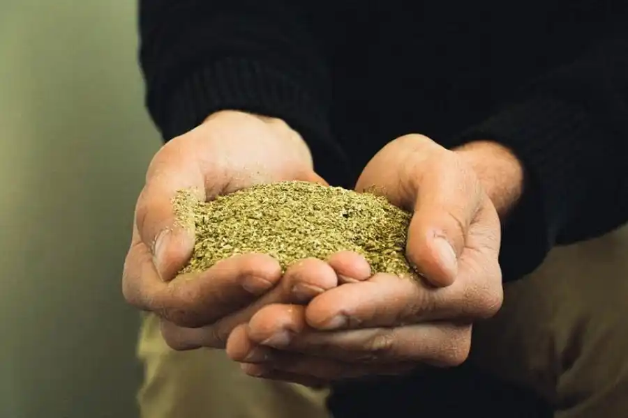 La Justicia de Misiones aceptó una cautelar pedida por asociaciones yerbateras y suspendió un capítulo del DNU