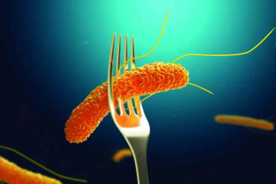 En la provincia de Santa Fe no se registran casos de infección por Salmonella o Shigella