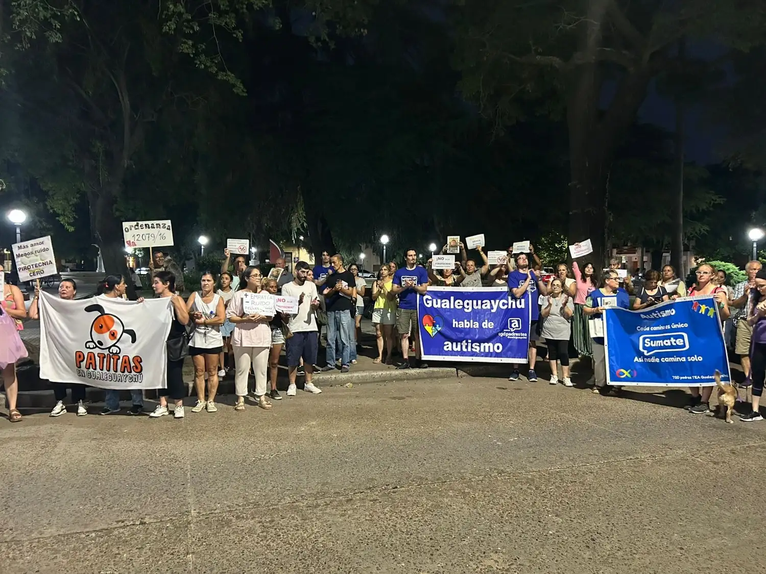 En fotos: Gualeguaychú marchó por el cumplimiento de la Pirotecnia Cero