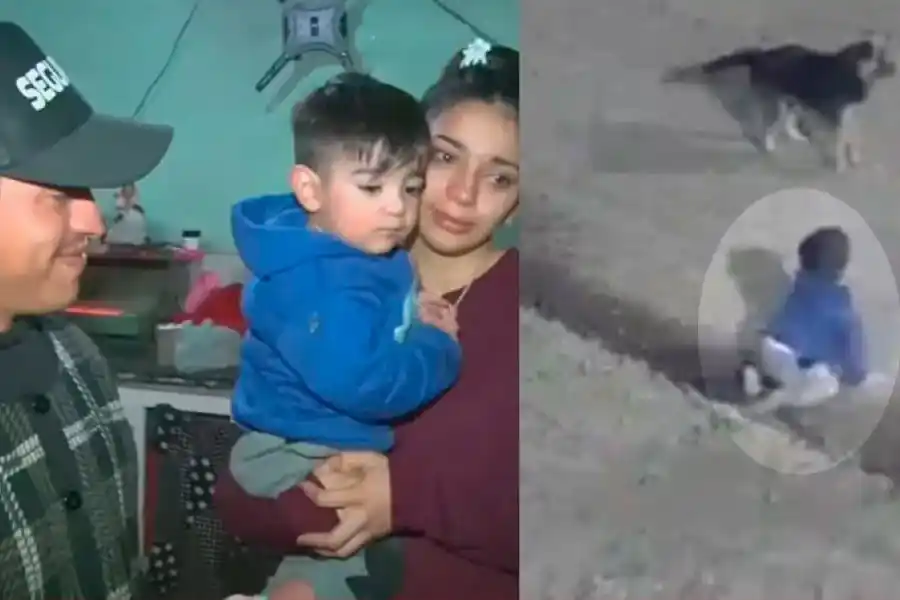 Lo que explicaron los padres del bebé que fue hallado gateando solo de madrugada